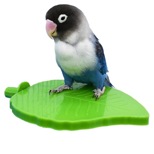 Uoqpty Vogel-Sitzstange für Käfig, Sitzstange, stehendes Spielzeug mit Blätterform, Haustierbedarf, Krallenschleifstange für Spatzen, Sittiche, Wellensittiche, Nymphensittiche Uoqpty Vogel-Sitzstange für Käfig, Sitzstange, stehendes Spielzeug mit Blätterform, Haustierbedarf, Krallenschleifstange für Spatzen, Sittiche, Wellensittiche, Nymphensittiche von Uoqpty