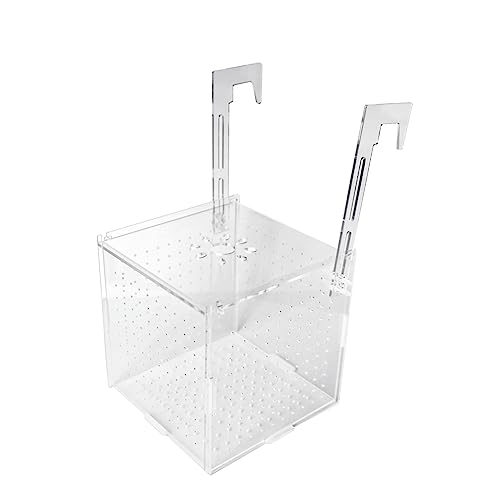 Uotyle Fischaufzuchtbox, Aquarium Acryl Fisch Tank Breeder Divider Box mit Saugnäpfen Transparent Hatchery Hanging Incubator für Fische Garnelen Clownfisch und Guppy von Uotyle