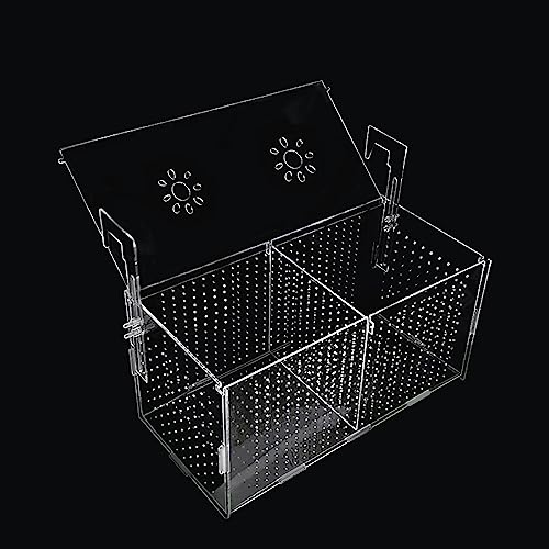 Uotyle Fischaufzuchtbox für Aquarium Acryl Fischtank Züchter Divider Box mit Saugnäpfen Transparent Hatchery hängenden Inkubator für Fische Garnelen Clownfisch und Guppy von Uotyle