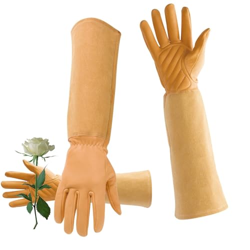 Uozonit Lange Gartenhandschuhe für Damen, lange Gartenhandschuhe, Gantelet | Dornenfeste Handschuhe, langärmlig, pannensicher, mit Schutz für Frauen Uozonit Lange Gartenhandschuhe für Damen, lange Gartenhandschuhe, Gantelet | Dornenfeste Handschuhe, langärmlig, pannensicher, mit Schutz für Frauen von Uozonit