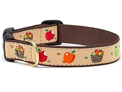 Up Country Apple of My Eye Hundehalsband, Apfel of My Eye Hundehalsband, Größe S (22,9 bis 38,1 cm), Breite 2,5 cm von Up Country