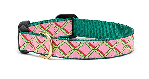 Up Country Coral Gables Hundehalsband, Größe S (22,9 bis 38,1 cm), 2,5 cm breit von Up Country