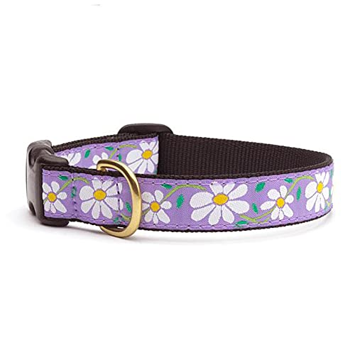 Up Country DAI-C-L Daisy Hundehalsband, Breit 1 inch, L von Up Country