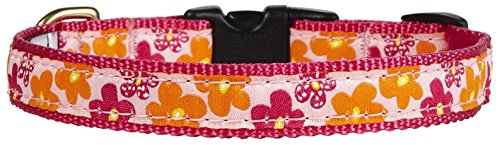 Up Country FLO-C-XL Flower Power Hundehalsband, Breit 1 inch, XL von Up Country