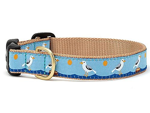 Up Country Gull Watch Hundehalsband, Größe M, 30,5 bis 45,7 cm, schmale Breite von Up Country