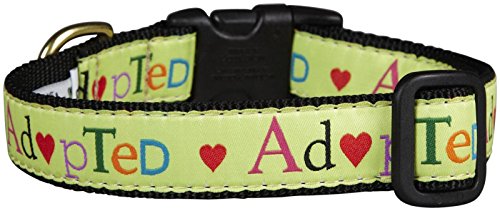 Up Country HED-C-XS Hedgehog Hundehalsband, XS, Schmal (5/8 Zoll) von Up Country