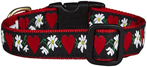 Up Country HFL-C-M Hearts and Flowers Hundehalsband, Breit 1 inch, M von Up Country