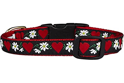 Up Country HFL-C-XL Hearts and Flowers Hundehalsband, Hunde Halsband, Breit 1 inch, XL von Up Country