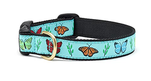 Up Country Hundehalsband, Schmetterling-Effekt, Größe M (30,5 bis 45,7 cm), 1,6 cm schmale Breite von Up Country