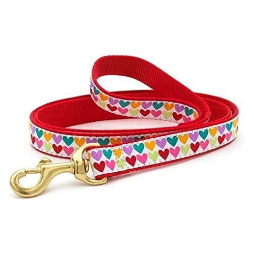 Up Country PHT-L-W Pop Hearts Hundeleine, Breit 1 inch von Up Country