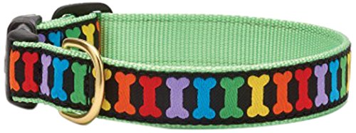 Up Country RAI-C-XL Rainbones Hundehalsband, Breit 1", XL von Up Country