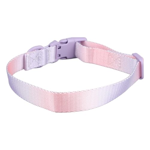 Hundehalsband, Hundehalsbänder für kleine Hunde, verstellbares Polyester, buntes Gurtband-Design, kleines Hundehalsband für die Dekoration im Freien (Purple Pink) von Uplory