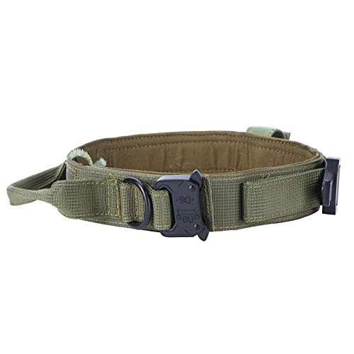 Hundehalsband, Hundehalsbänder für mittelgroße Hunde, Nylon-Kontrollgriff mit Einer D-förmigen Stahlschnalle, großes Hundehalsband für mittelgroße Hunde (Green) von Uplory