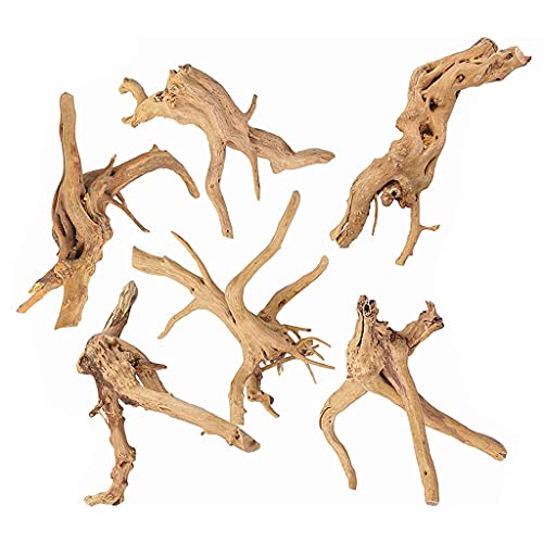 Uqezagpa Aquarium 6 Stück unregelmäßige Form Holz Ornament für Fische für natürliche Zweige Dekorationen 10,2 cm - 15,2 cm von Uqezagpa