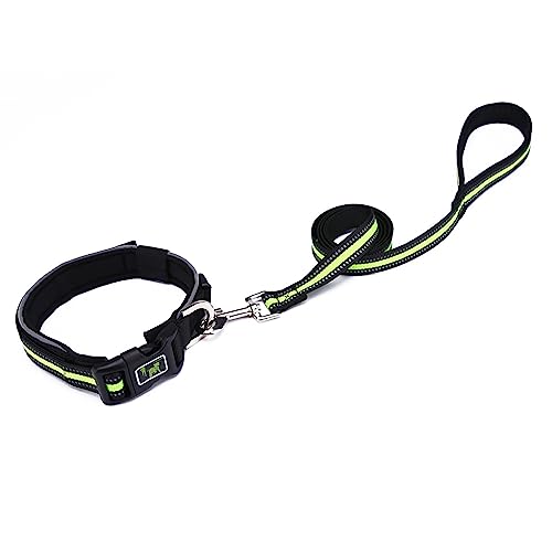 Uqezagpa Hundehalsband für Haustiere, Katzen, mit reflektierendem Seil, verstellbarer Halsband, leuchtend, mit Schnallen von Uqezagpa