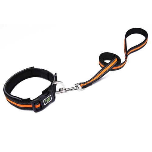 Uqezagpa Hundehalsband für Haustiere, Katzen, mit reflektierendem Seil, verstellbarer Halsband, leuchtend, mit Schnallen von Uqezagpa