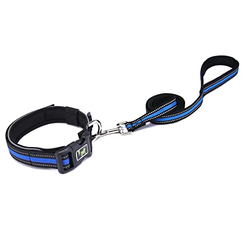 Uqezagpa Hundehalsband für Haustiere, Katzen, mit reflektierendem Seil, verstellbarer Halsband, leuchtend, mit Schnallen von Uqezagpa