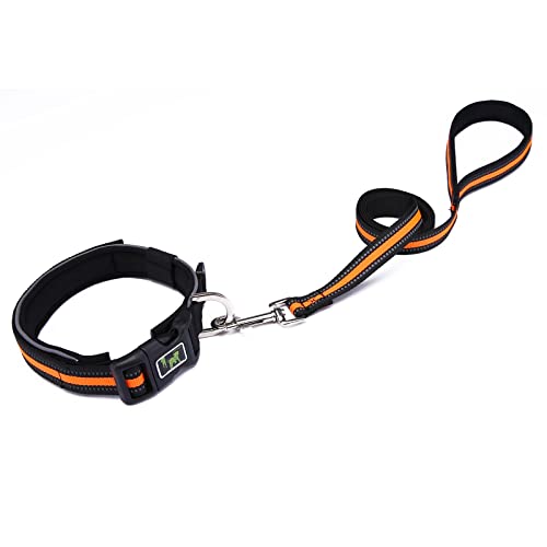 Uqezagpa Hundehalsband für Haustiere, Katzen, mit reflektierendem Seil, verstellbarer Halsband, leuchtend, mit Schnallen von Uqezagpa