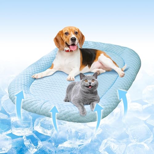 Hundebett Grosse Hunde, Hundesofa Hundekorb erhöhte, kühlmatte Katze ohne Gel Ränder rutschfeste Unterseite, AtmungsaktivitäT Hundecouch für Hunde, Welpen, Katzen, Zuhause (45 * 35CM,Blau) von UrCreat