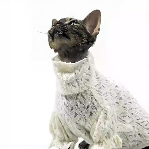 Katzen-Rollkragenshirt aus weicher Spitze, elegant, hautfreundlich, warm, Pullover, Kleidung für haarlose Sphynx, Devon und alle Indoor-Kätzchen, Größe M von Urnat