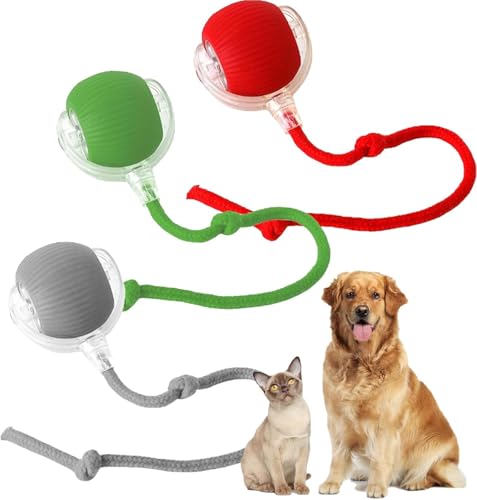 Katzenspielzeug SelbstbeschäFtigung Interaktives Katzenball, Katzenspielzeug Katzenball Elektrisch Automatisch, Bewegliches Automatisches Rollender Intelligenz Katzenspielzeug (RotGrünGrau, 3PCS) von Usper