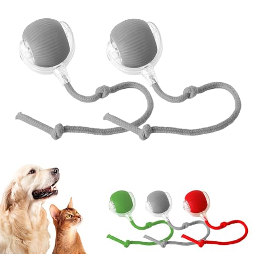 Usper Katzenspielzeug SelbstbeschäFtigung Interaktives Katzenball, Katzenspielzeug Katzenball Elektrisch Automatisch, Bewegliches Automatisches Rollender Intelligenz Katzenspielzeug (Grau, 2 PCS) von Usper