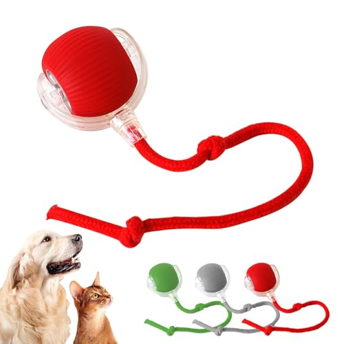 Usper Katzenspielzeug SelbstbeschäFtigung Interaktives Katzenball, Katzenspielzeug Katzenball Elektrisch Automatisch, Bewegliches Automatisches Rollender Intelligenz Katzenspielzeug (Rot, 1PCS) von Usper