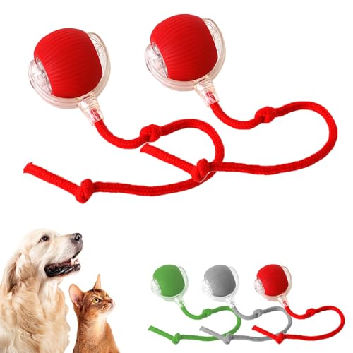 Usper Katzenspielzeug SelbstbeschäFtigung Interaktives Katzenball, Katzenspielzeug Katzenball Elektrisch Automatisch, Bewegliches Automatisches Rollender Intelligenz Katzenspielzeug (Rot, 2 PCS) von Usper