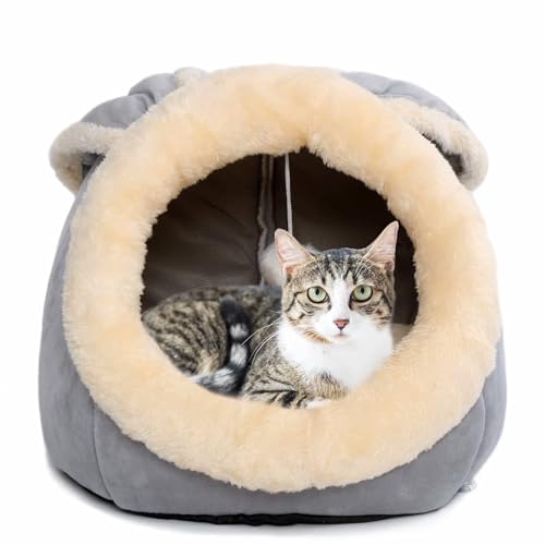 Katzenbetten für Indoor-Katzen - Kleines Hundebett mit rutschfester Unterseite, Kaninchenförmige Katze/kleine Hundehöhle mit Hängespielzeug, Welpenbett mit abnehmbarem Baumwollpolster, superweiches von Ustuyno