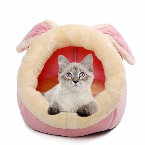 Katzenbetten für Indoor-Katzen - Kleines Hundebett mit rutschfester Unterseite, Kaninchenförmige Katze/kleine Hundehöhle mit Hängespielzeug, Welpenbett mit abnehmbarem Baumwollpolster, superweiches von Ustuyno