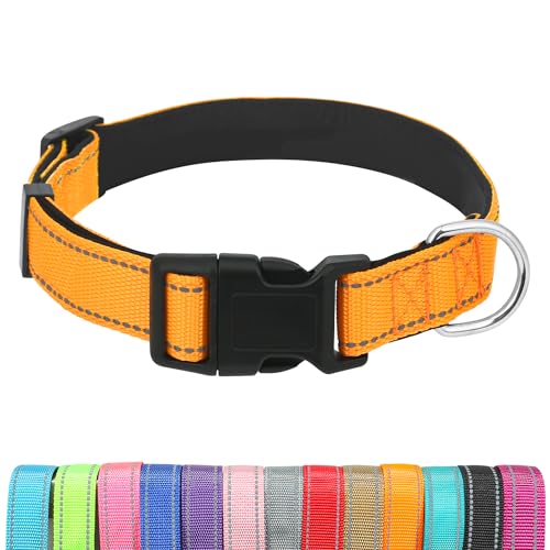 UsunyVora Reflektierendes Hundehalsband mit Schnellverschluss-Schnalle, Neopren, gepolstert, verstellbar, für Welpen, XXS, Orange von UsunyVora