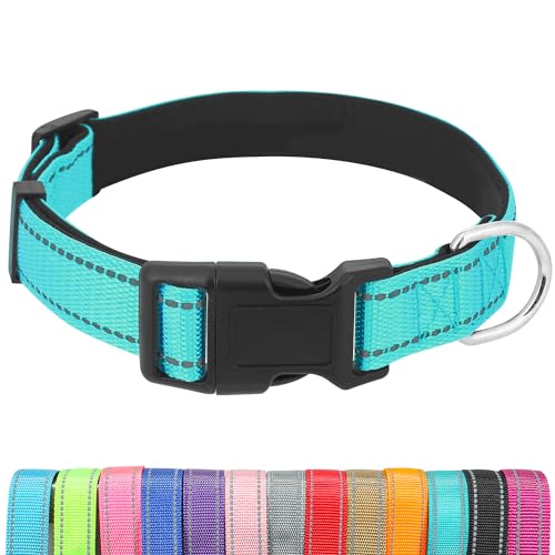 UsunyVora Reflektierendes Hundehalsband mit Schnellverschluss-Schnalle, Neopren, gepolstert, verstellbar, für extra große Hunde, XL, Türkis von UsunyVora