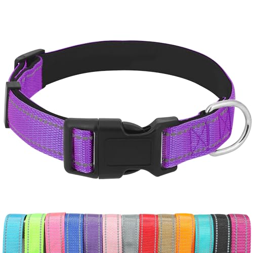 UsunyVora Reflektierendes Hundehalsband mit Schnellverschluss-Schnalle, Neopren, gepolstert, verstellbar, für große Hunde, L, Violett von UsunyVora