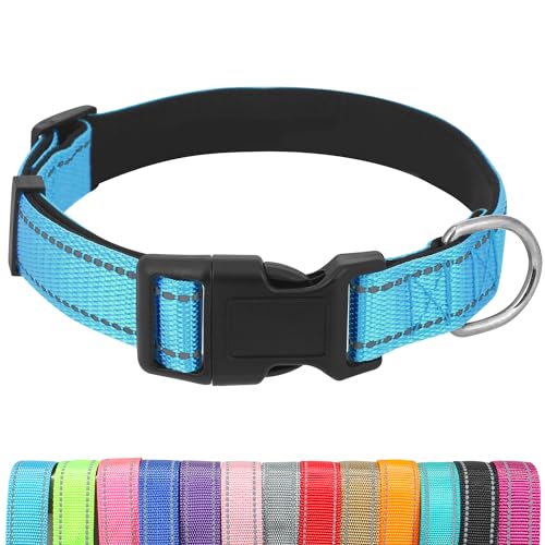 UsunyVora Reflektierendes Hundehalsband mit Schnellverschluss-Schnalle, Neopren, gepolstert, verstellbar, für mittelgroße Hunde, M, Himmelblau von UsunyVora