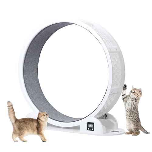 Utaxuper Katzenlaufrad 110 cm Solarstrom mit Zähler Laufrad Katzen Katzenrad Cat Wheel für Kleine Katzen Große Katzen Drinnen Weiß von Utaxuper