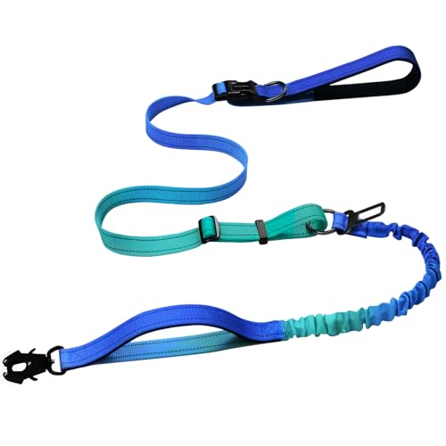 Strapazierfähige, freihändige Hundeleine mit Schnellverschluss-Karabiner und verstellbarem Bungee-Hundeleine, für Spaziergänge und Training, mit Auto-Sicherheitsgurt, 1,2–1,8 m, Aquamarin von VAANNQOUU