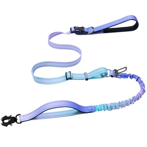 Strapazierfähige Hundeleine mit Schnellverschluss-Karabiner und verstellbarem Bungee-Zugband, für Spaziergänge und Training, mit Auto-Sicherheitsgurt, 1,2 - 1,8 m, Violett von VAANNQOUU