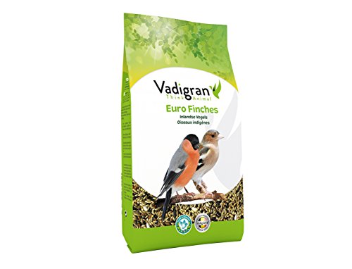 Vadigran Euro Finches, 2er Pack (2 x 1 kg) von VADIGRAN