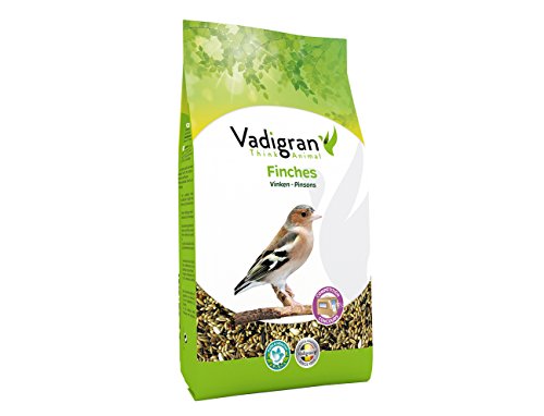 Vadigran Finches Concours, 2er Pack (2 x 1 kg) von VADIGRAN