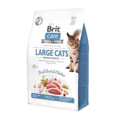 VAFO PRAHA s.r.o. Brit Care Cat Cat Big Cats, 7 kg Power & Vitality GF von VAFO PRAHA s.r.o.