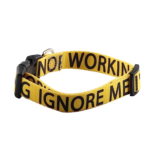 VAMSII Arbeitshundehalsband, Hundemarke, Ignore Me I'm Working Pet Memorial Collar Neutral Dog Collar(I'm Working) von VAMSII