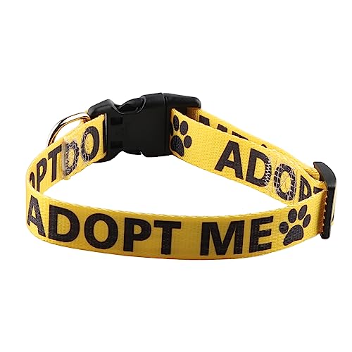 VAMSII Foster Hundehalsband zum Hineinschlüpfen für Hunde, Adopt Me Shelter, Hundehalsband, Umschlag, Hundehalsband, Haustier-Gedenkhalsband (Adopt ME) von VAMSII