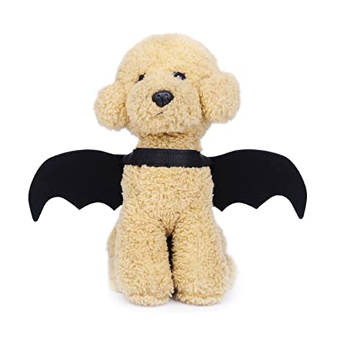 VANZACK 1Stk Haustierbedarf Hundekleidung für Halloween Hundekleidung für besondere Anlässe Halloween Hundekleidung Dinosaurierkostüm Hundepflege Kette Welpe Halloween-Haustierkostüm Black von VANZACK