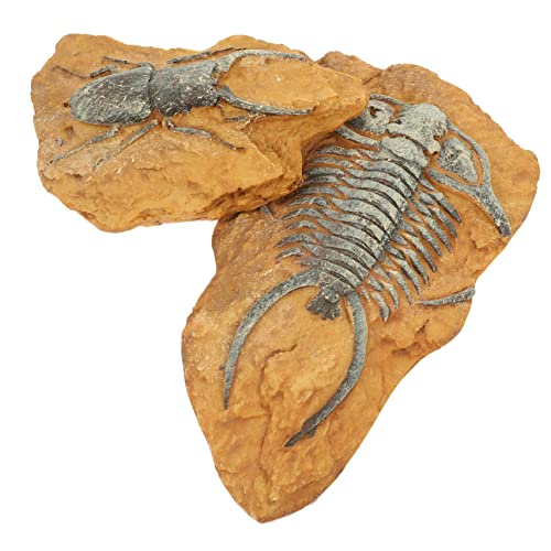 VANZACK 2Er-Box simuliertes Harzfossil Reptil Terrarium Dekorationen Terrarium Decor Snake Climbing Decor Dekore für Terrarien mit Schlangen Eidechsen-Terrarium-Dekore VANZACK 2Er-Box simuliertes Harzfossil Reptil Terrarium Dekorationen Terrarium Decor Snake Climbing Decor Dekore für Terrarien mit Schlangen Eidechsen-Terrarium-Dekore von VANZACK