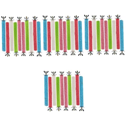 VANZACK 40 STK Farbe Matte Standstange Spielset Aus Holz Trainingsspielzeug Für Papageien Käfig Vogelspielzeug Vogel Stehen Vogelständer Für Zug Spielzeug Für Vögel Schleifstab Gefrostet von VANZACK