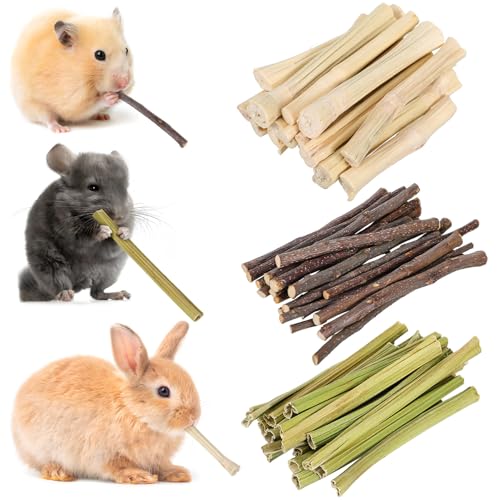 VANZACK 55 Stück Kaninchen-Kauspielzeug Hasenzähne Knirschen Kauspielzeug Hamster-Kauspielzeug Kaninchen-Leckerli-Stiele Holz-Kaustäbchen Für Kaninchen Meerschweinchen Chinchilla Hamster von VANZACK