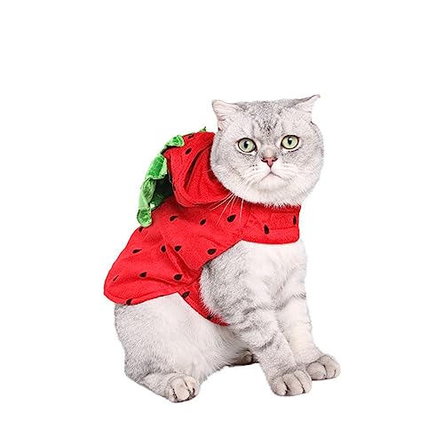 VANZACK Haustier Hund Katze Hoodie Mantel Erdbeer-Welpenkostüm Hundetücher Hundesachen Hundekleidung Haustierkleidung Haustierbekleidung Kapuzenmantel für Hunde Erdbeer-Hunde-Hoodie-Mantel VANZACK Haustier Hund Katze Hoodie Mantel Erdbeer-Welpenkostüm Hundetücher Hundesachen Hundekleidung Haustierkleidung Haustierbekleidung Kapuzenmantel für Hunde Erdbeer-Hunde-Hoodie-Mantel von VANZACK