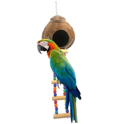 VANZACK Papagei-Vogel-Spielzeug naturholz Birds Birdies Kokosnuss Schale Vogelkäfignest Spielzeug Papagei Papageiennest Papageienspielzeug aus Holz das Vogelnest Kokosnussschale Bambus von VANZACK