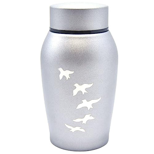 VARONGHKOO Gedenkurne für Hunde, Asche, Schraubverschluss, Klauendruck, Haustierurne, Trauergeschenk, Geschenke zum Verlust von Haustieren, 250 ml (Silber) von VARONGHKOO