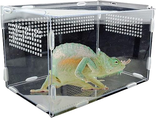 Insekten-Futterbox, Acryl-Futterbox für Frosch, Cricket, Schildkröte, Reptilienzuchtbox, Schneckenhaus, Reptilienkäfig (L) von VAZZIC